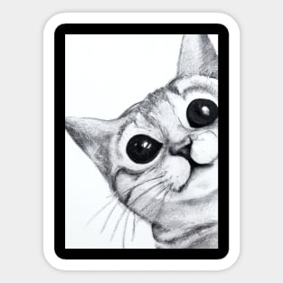 Cute Cat Drawing Sticker